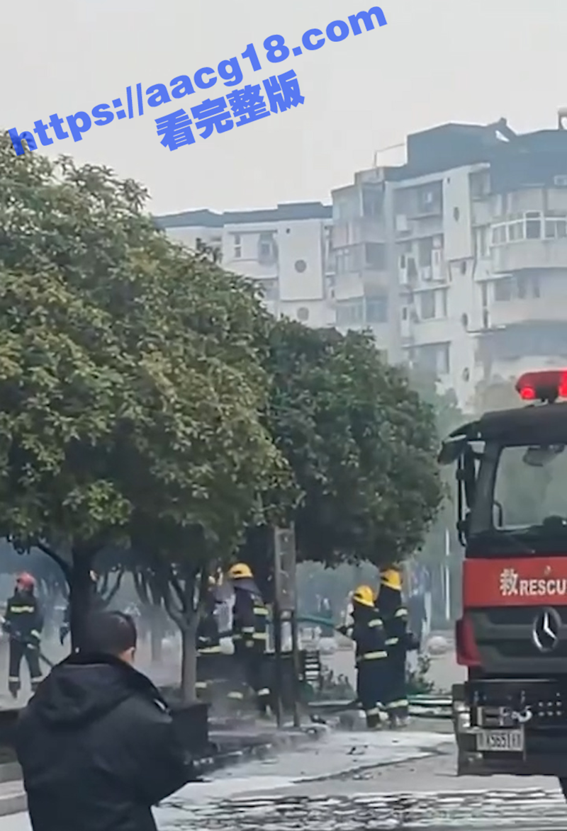 湖北荆州沙市一架大型相关图片