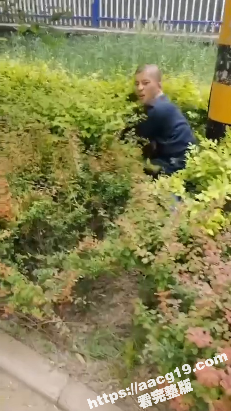 强奸犯被突脸制止 光天化日之下 拖妹子到草丛强奸 无视他人按住就要操 被人制止还不服气