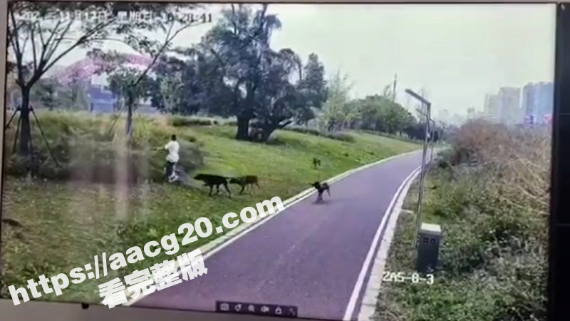 江西赣州母女被恶犬撕相关图片