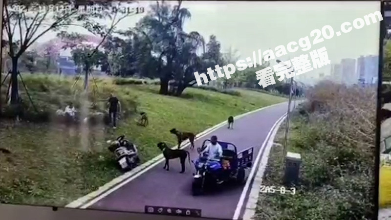 江西赣州母女被恶犬撕相关图片