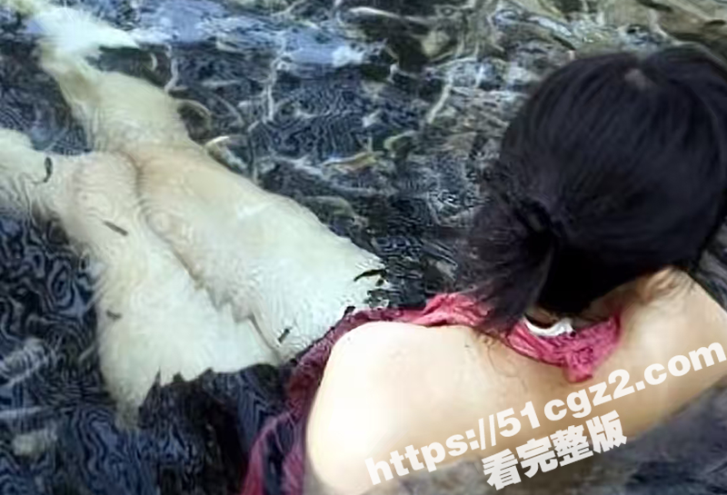 逆天老情侣情到深处在相关图片