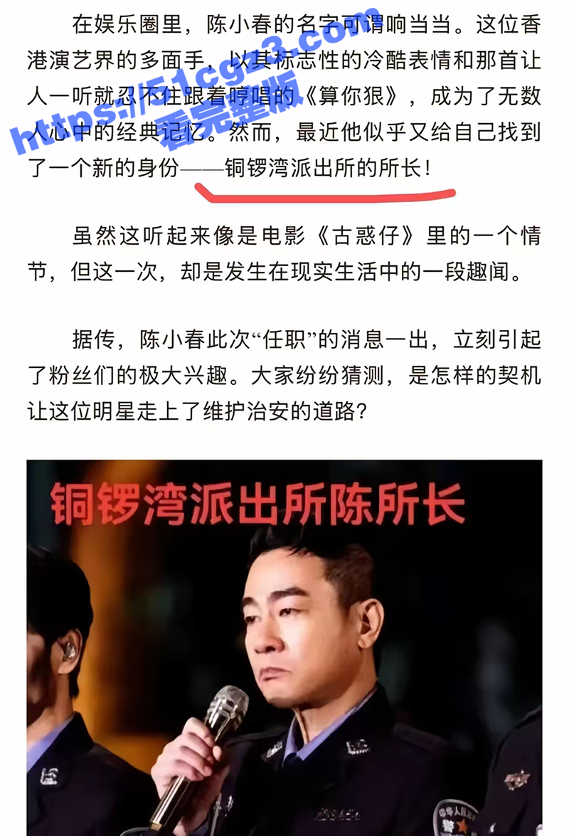 洪兴山鸡哥 陈小春 成香港铜锣湾社区服务中心书记 看古惑仔进监狱的人出来天都塌了 大哥被招安了！