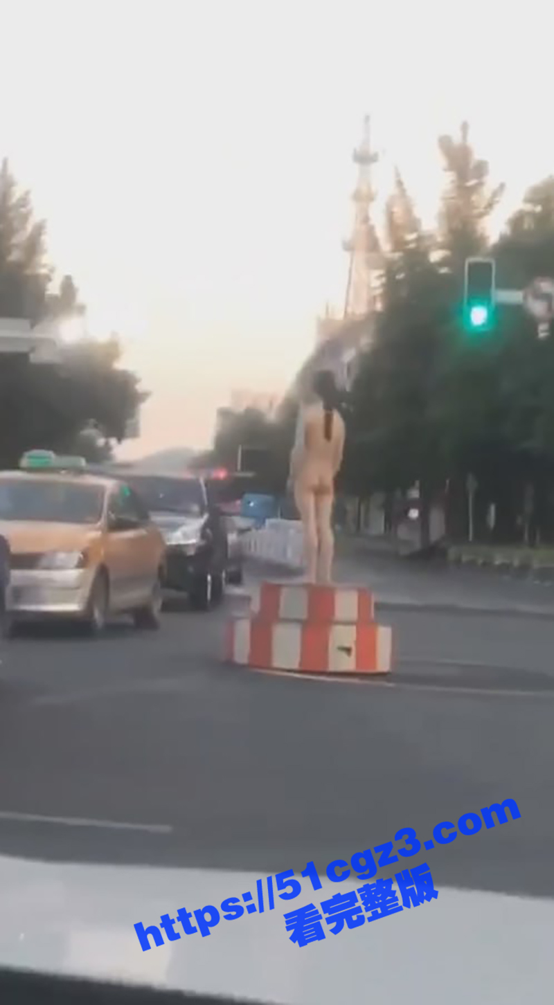 辽宁沈阳大马路上惊现相关图片