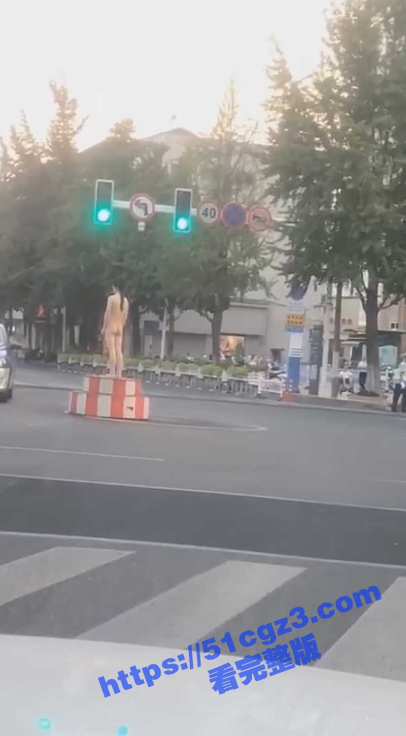 辽宁沈阳大马路上惊现相关图片