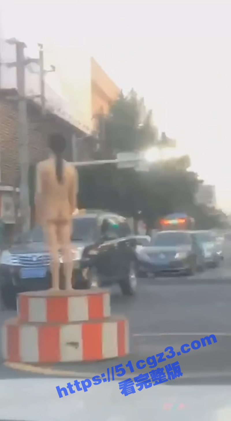 辽宁沈阳大马路上惊现相关图片