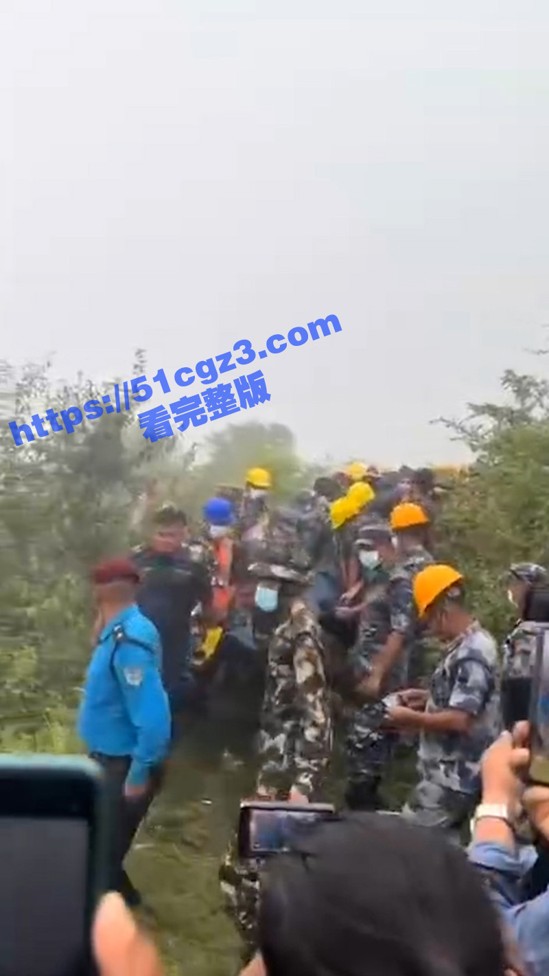 疑因鸟群撞击 阿塞拜相关图片