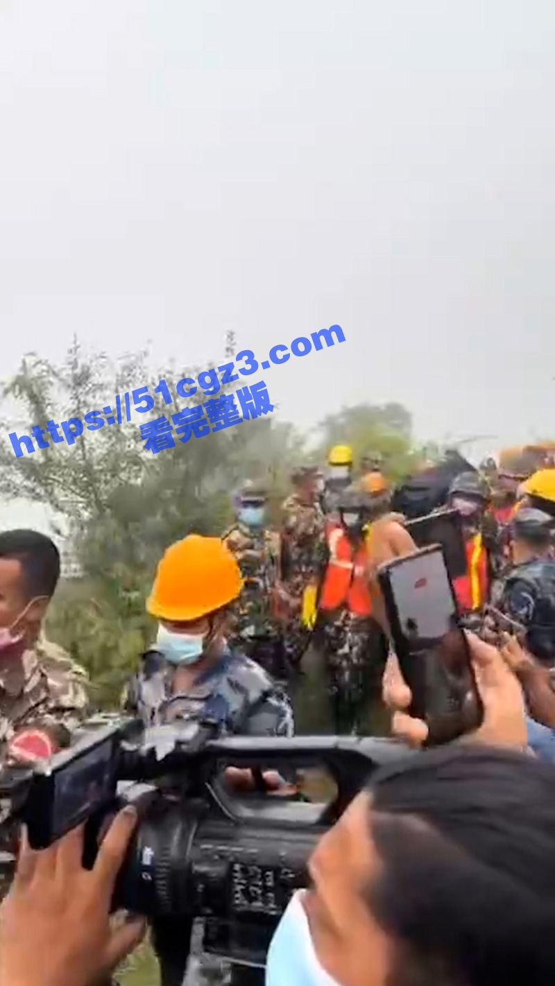 疑因鸟群撞击 阿塞拜相关图片
