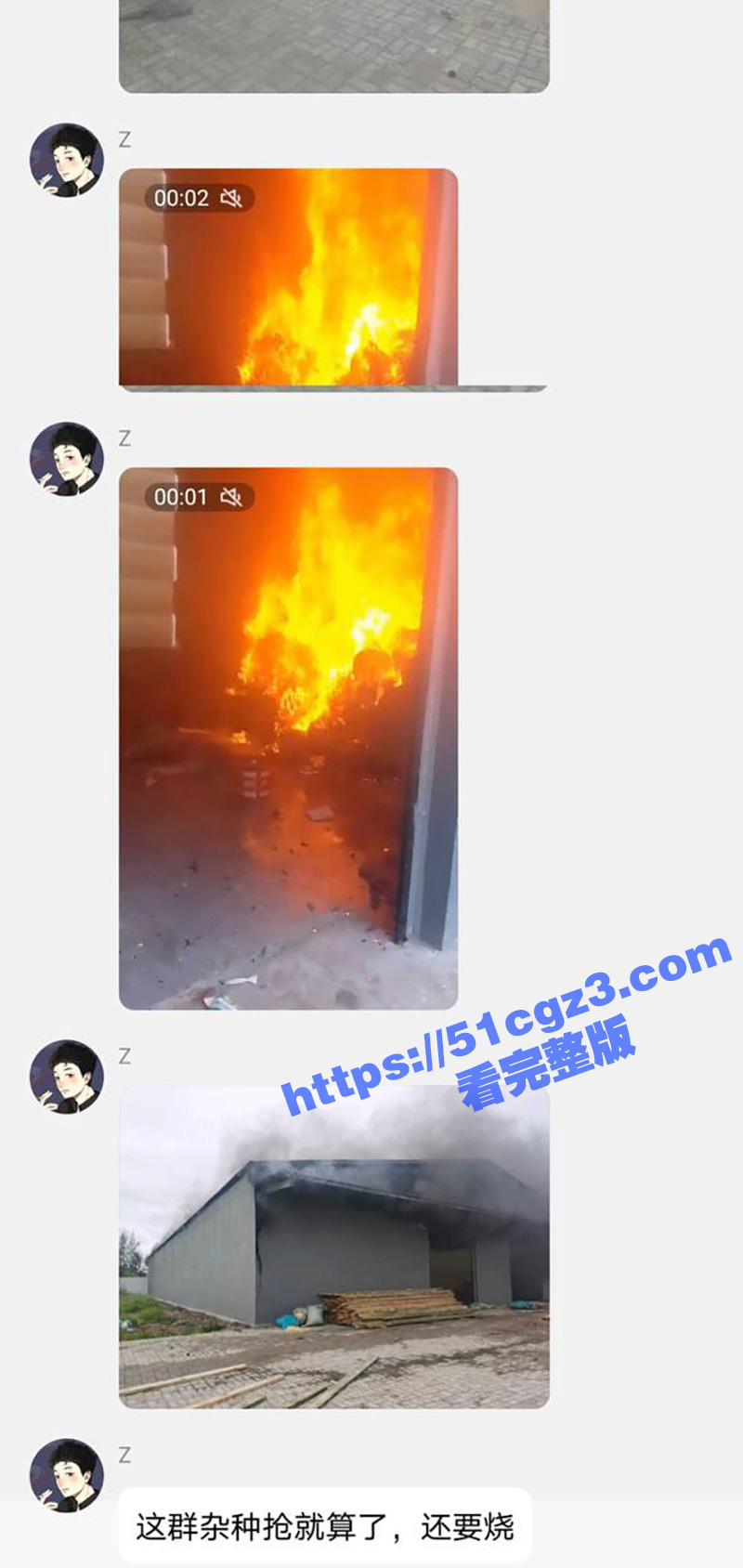 莫桑比克抗议活动期间相关图片