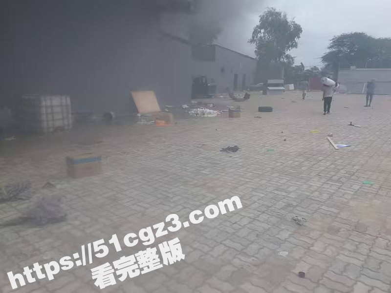 莫桑比克抗议活动期间相关图片