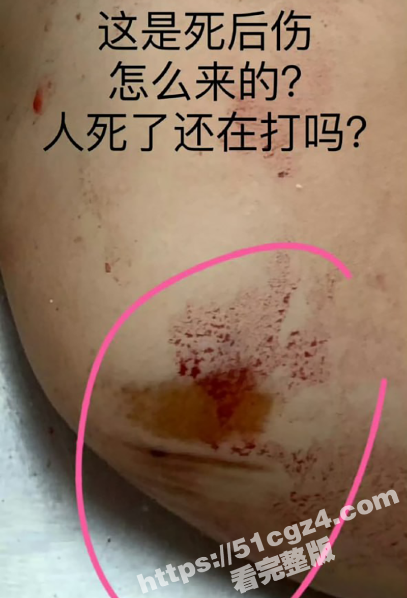 辽宁大连普兰店女孩 相关图片