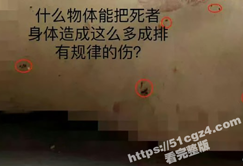 辽宁大连普兰店女孩 相关图片