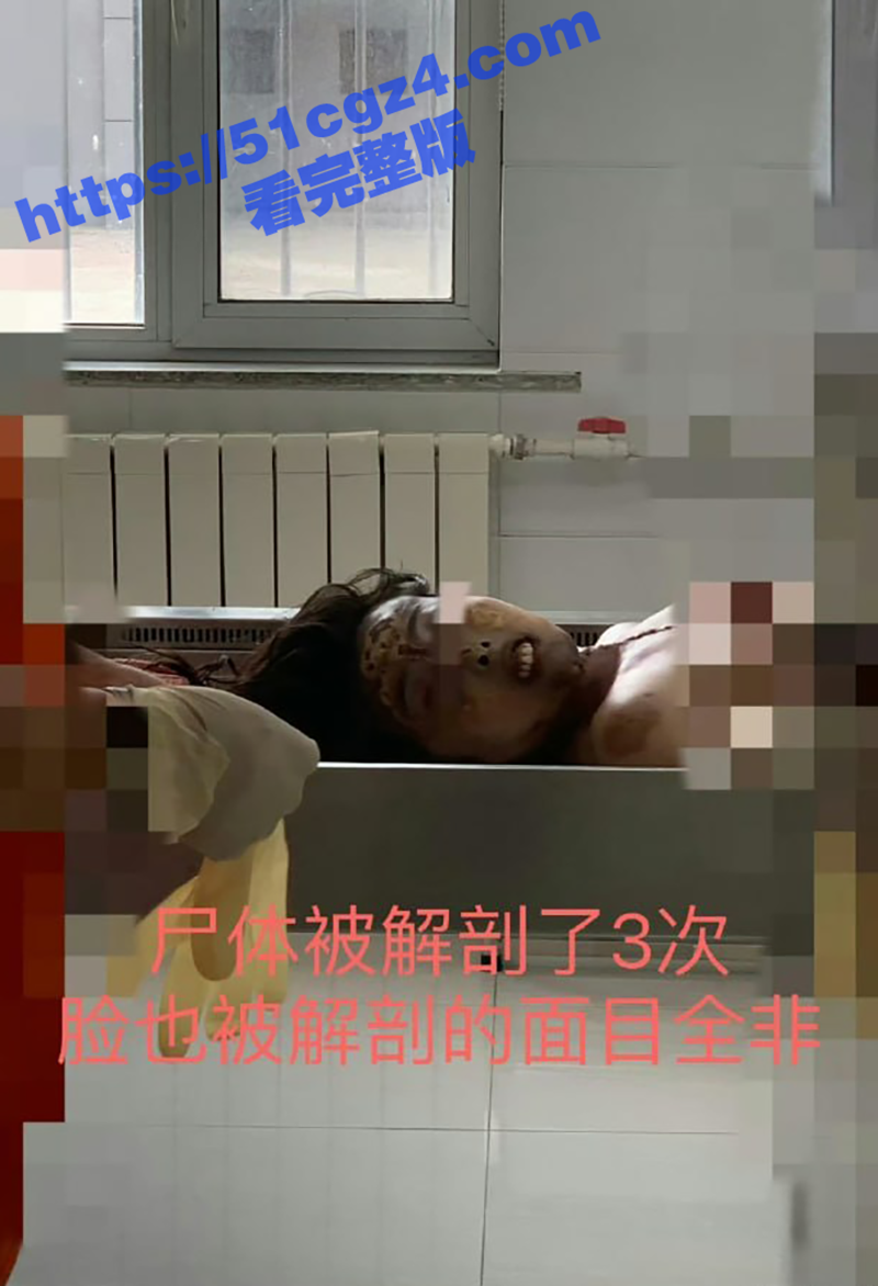 辽宁大连普兰店女孩 相关图片