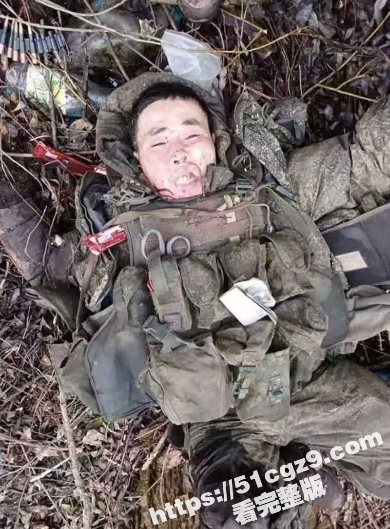 抗乌援俄中国网红 东相关图片