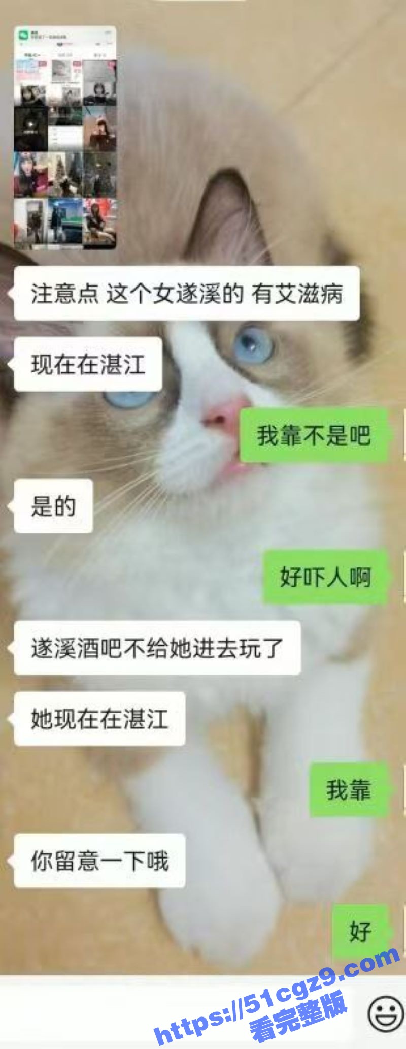广西遂溪生化母体 黄相关图片