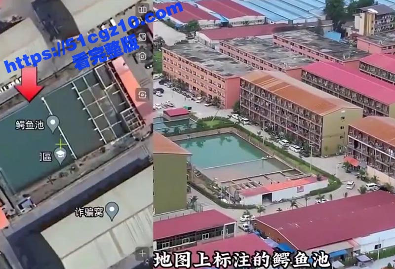 网红冒险探索缅甸臭名相关图片