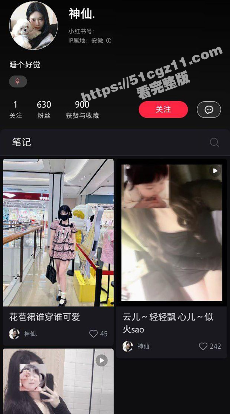 Tiktok难民入驻相关图片