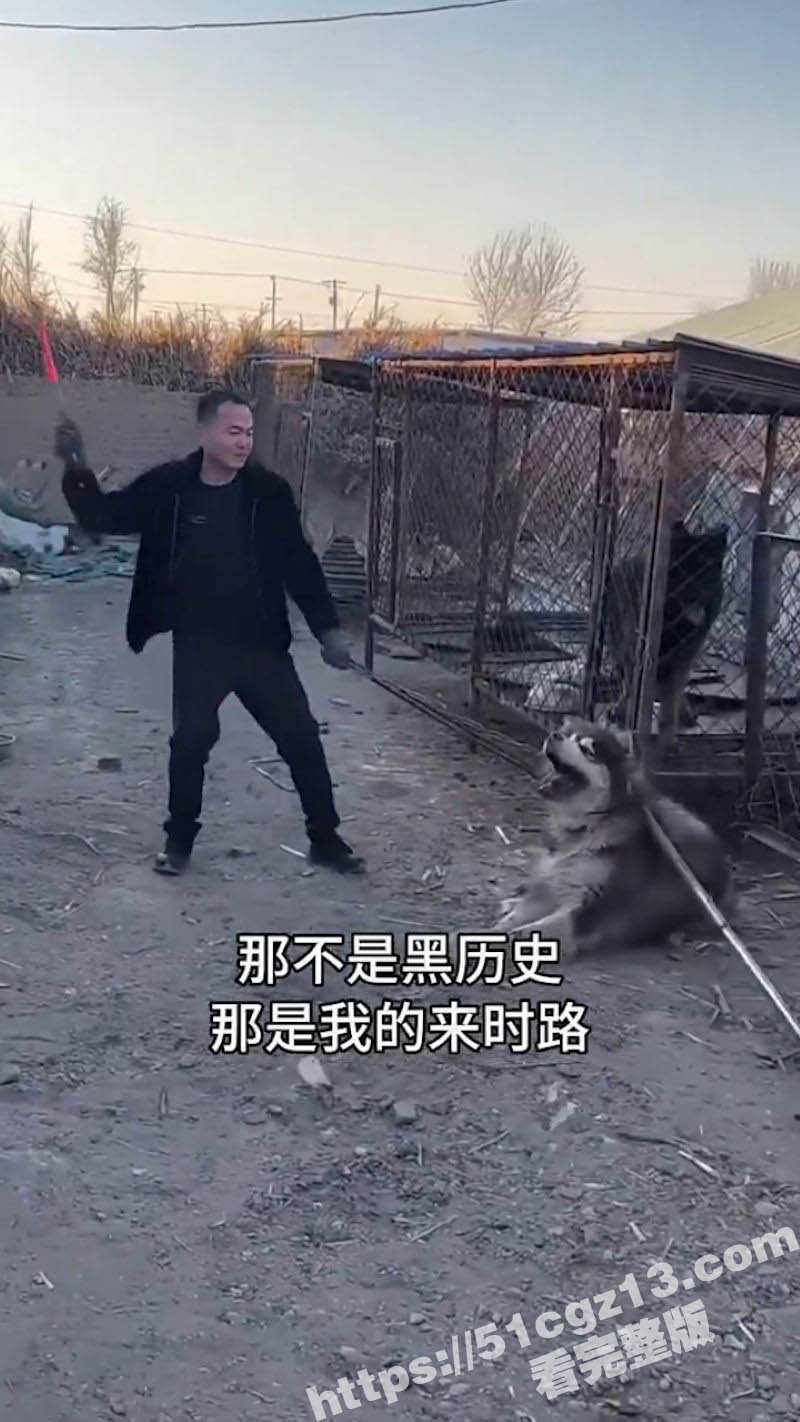 抖音千万粉丝的训狗主相关图片