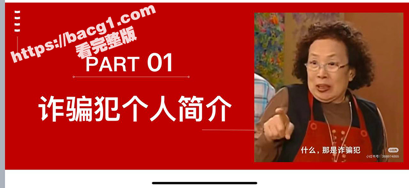 武汉泡水狗 别烦六一相关图片