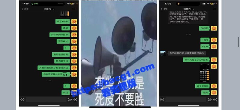 武汉泡水狗 别烦六一相关图片