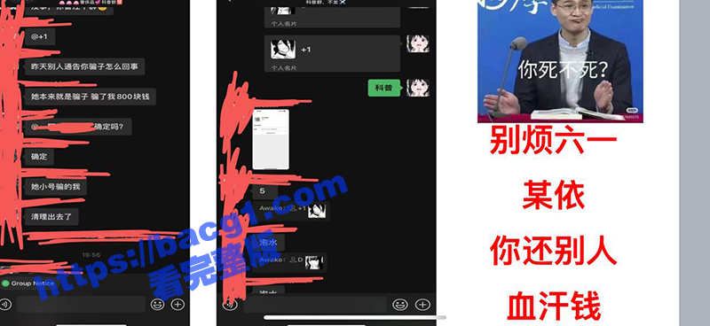 武汉泡水狗 别烦六一相关图片
