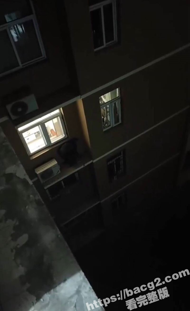 过年的最后一炮也不让人安宁 屋内吵得天崩地裂 老王在窗台瑟瑟发抖 看来今天是不容易回去了！