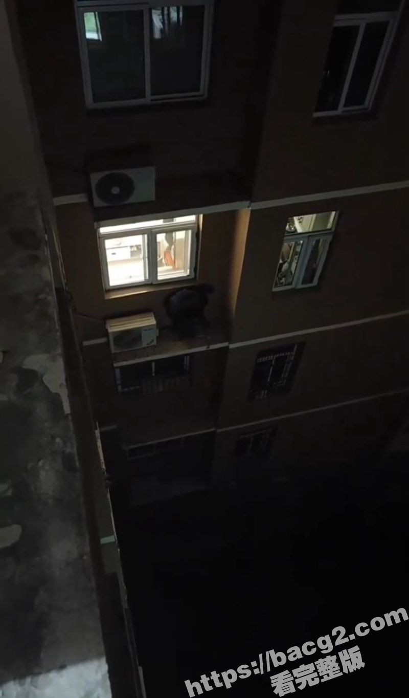 过年的最后一炮也不让相关图片