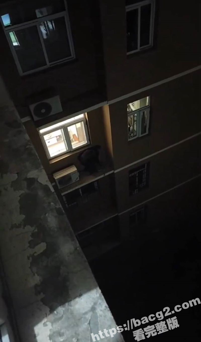 过年的最后一炮也不让相关图片