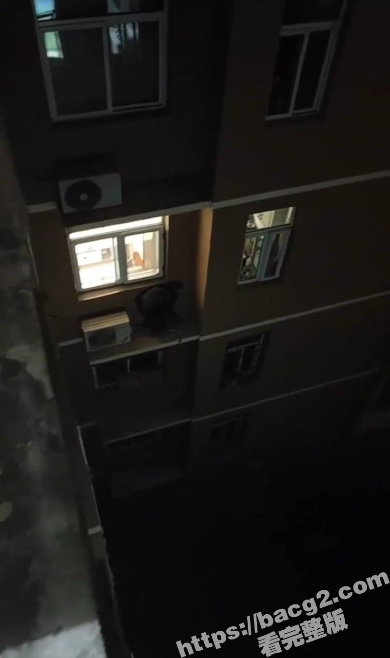 过年的最后一炮也不让相关图片