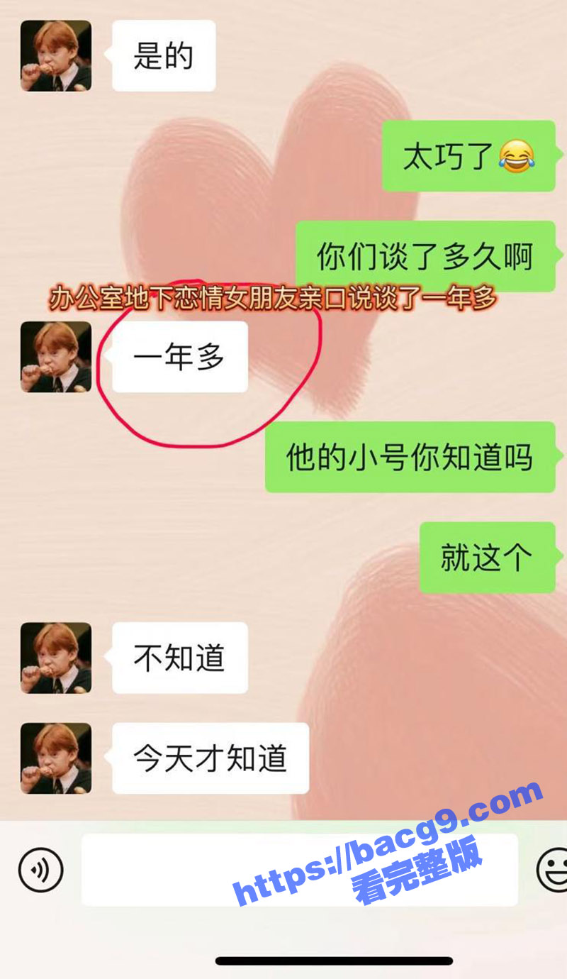西安建行PPT大瓜 相关图片