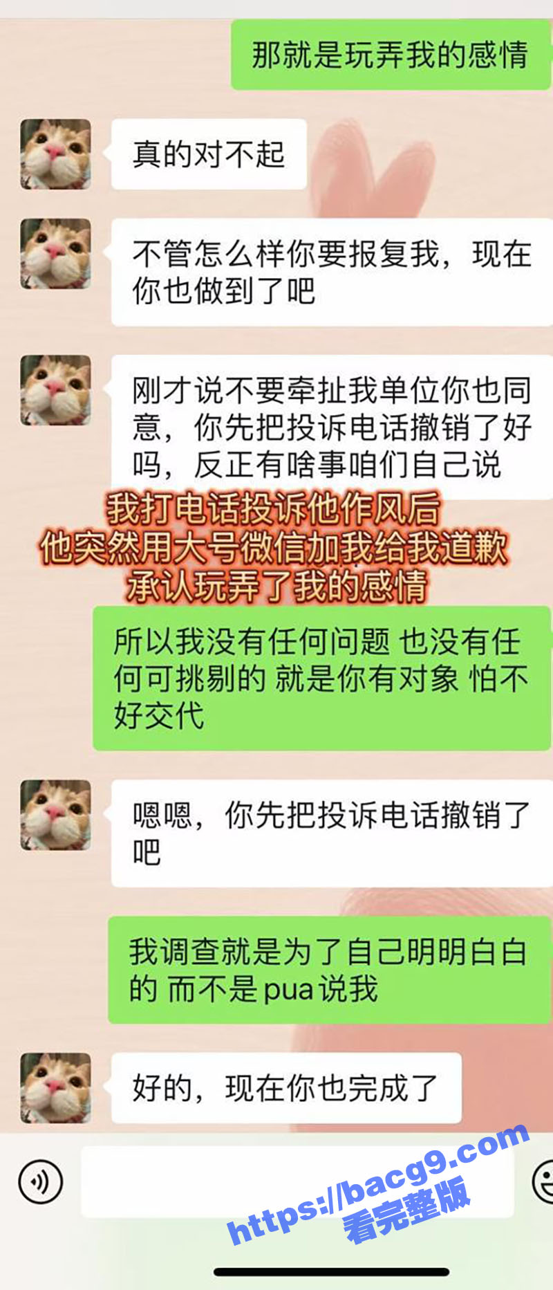 西安建行PPT大瓜 相关图片