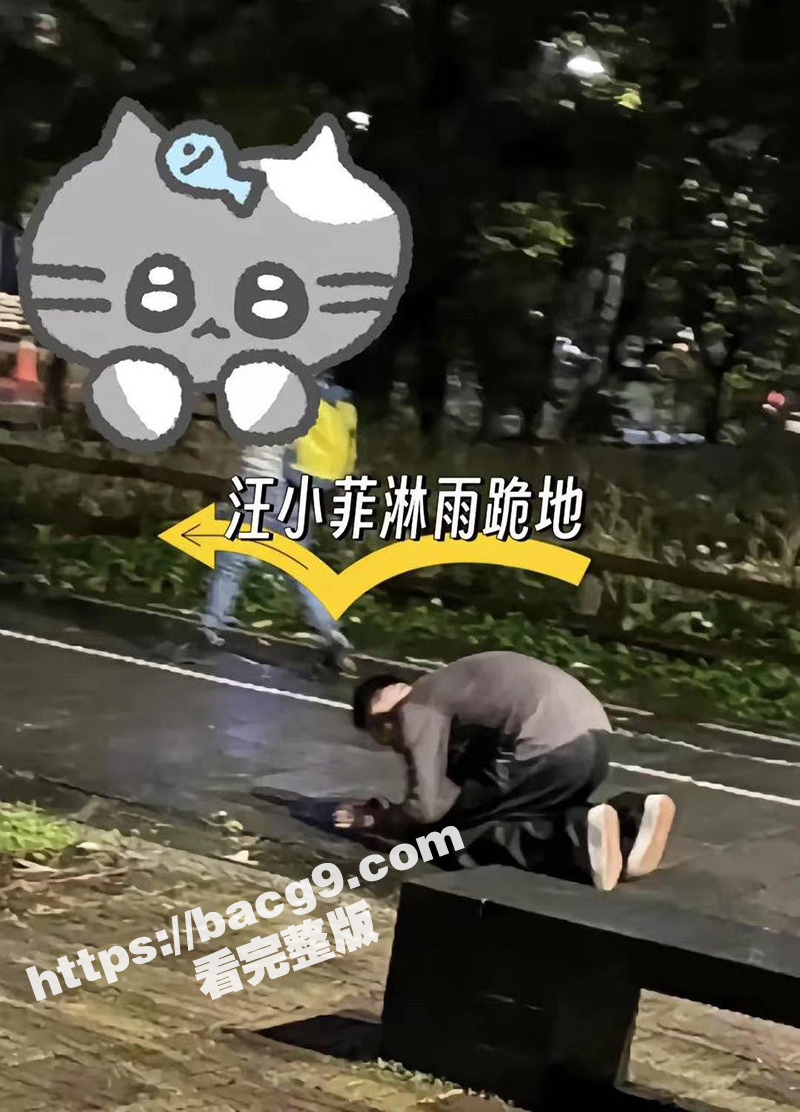 汪小菲被曝结婚第二年相关图片