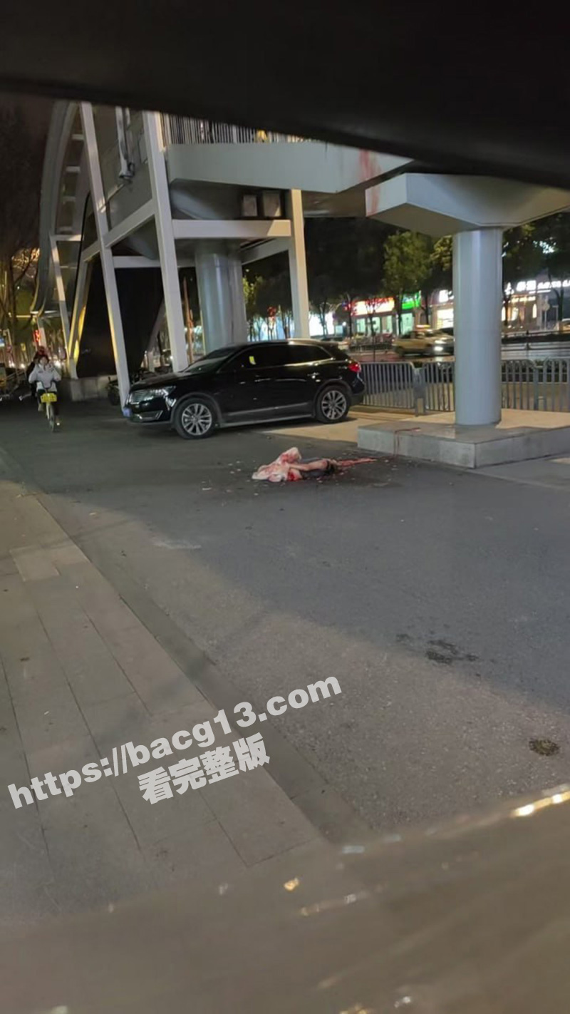 血腥慎入 武汉花园道相关图片