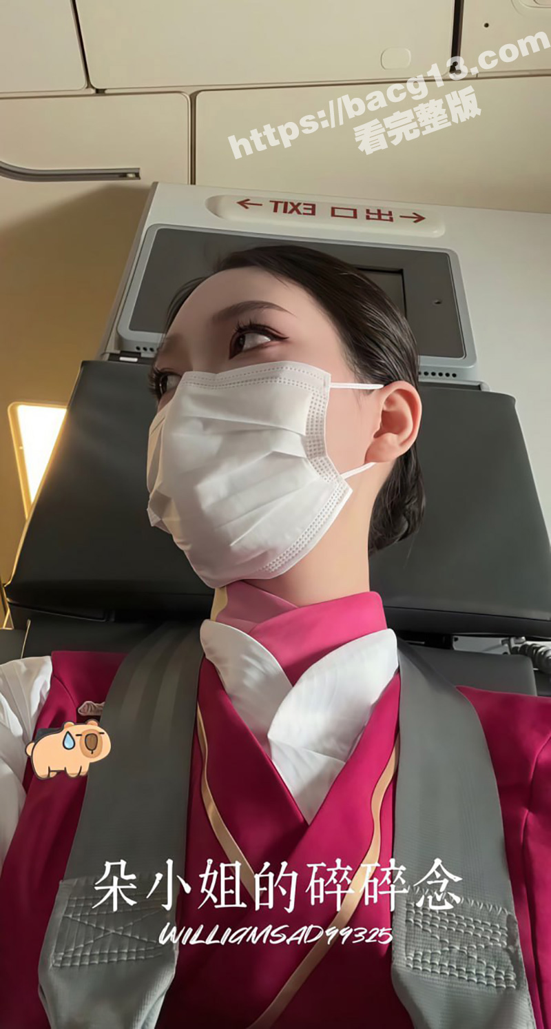 推特南航空姐 朵小姐的碎碎念 飞机上大胆露出 被金主后入爆操！