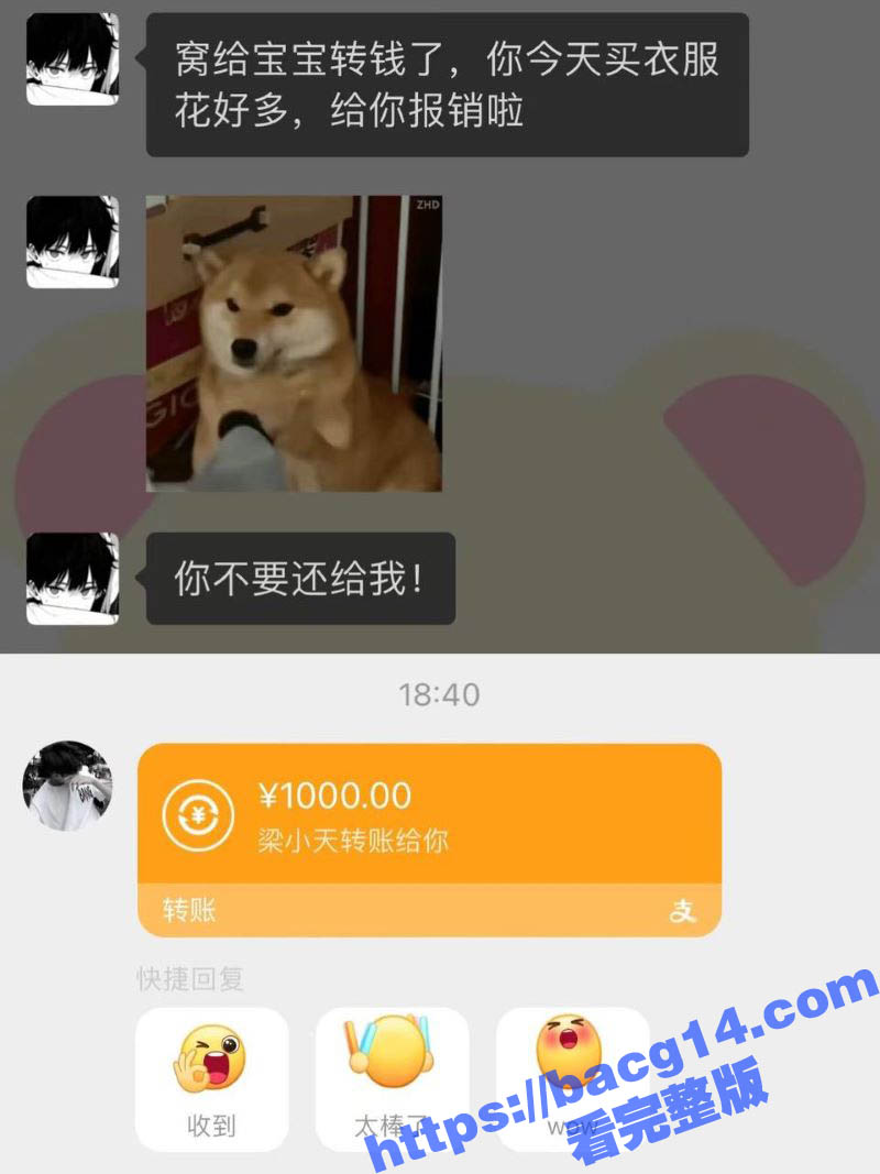 浙江宇翔职业技术学院相关图片
