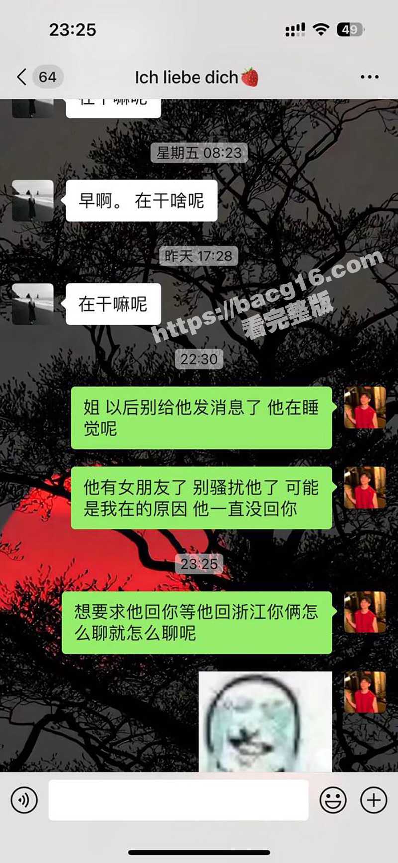 云南丘北炮王 三天约相关图片