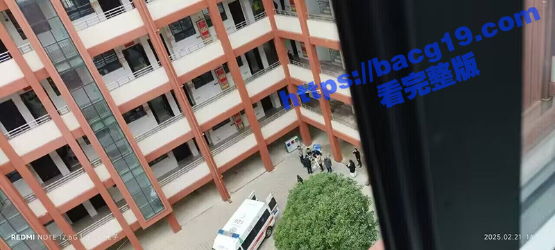 江西抚州临川区金巢实相关图片