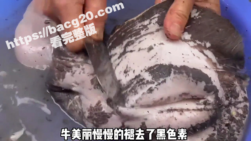 淘宝推出线上新鲜卖牛相关图片