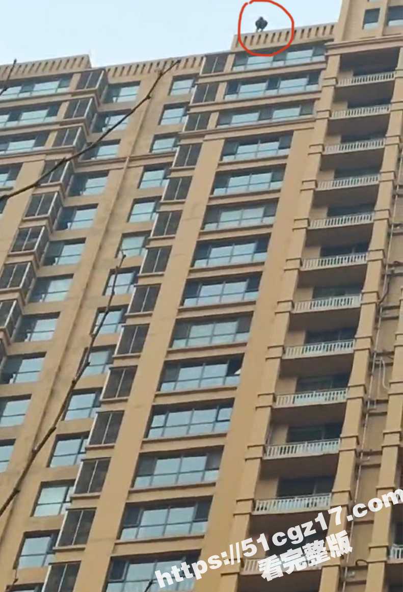 裕华区天海誉天下楼区相关图片