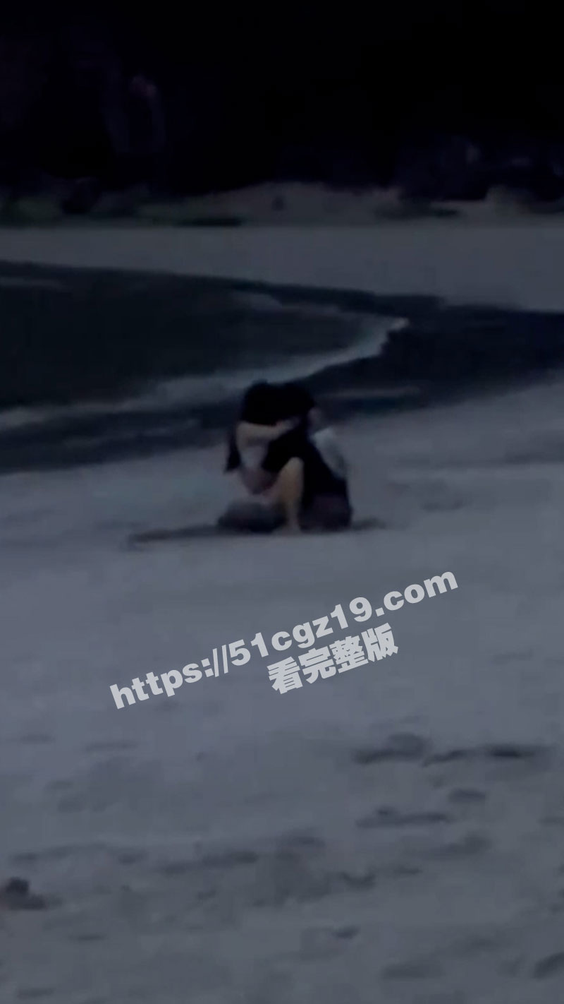越南岘港 逆天狗男女相关图片