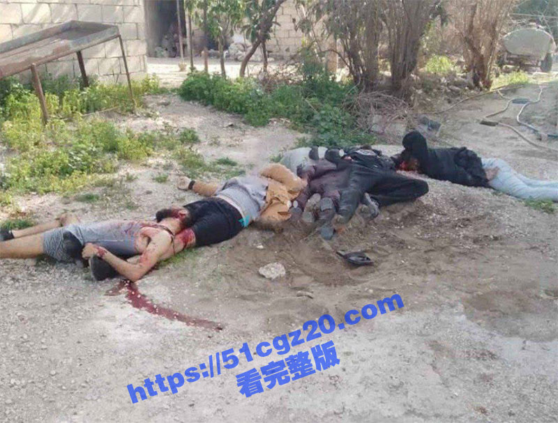 叙利亚武装分子开始大相关图片