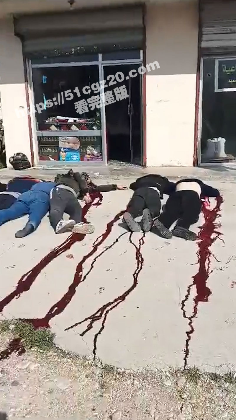 叙利亚武装分子开始大相关图片
