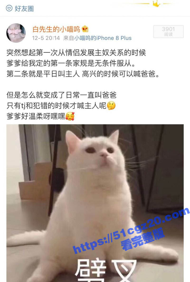 推特符文母狗 白先生相关图片
