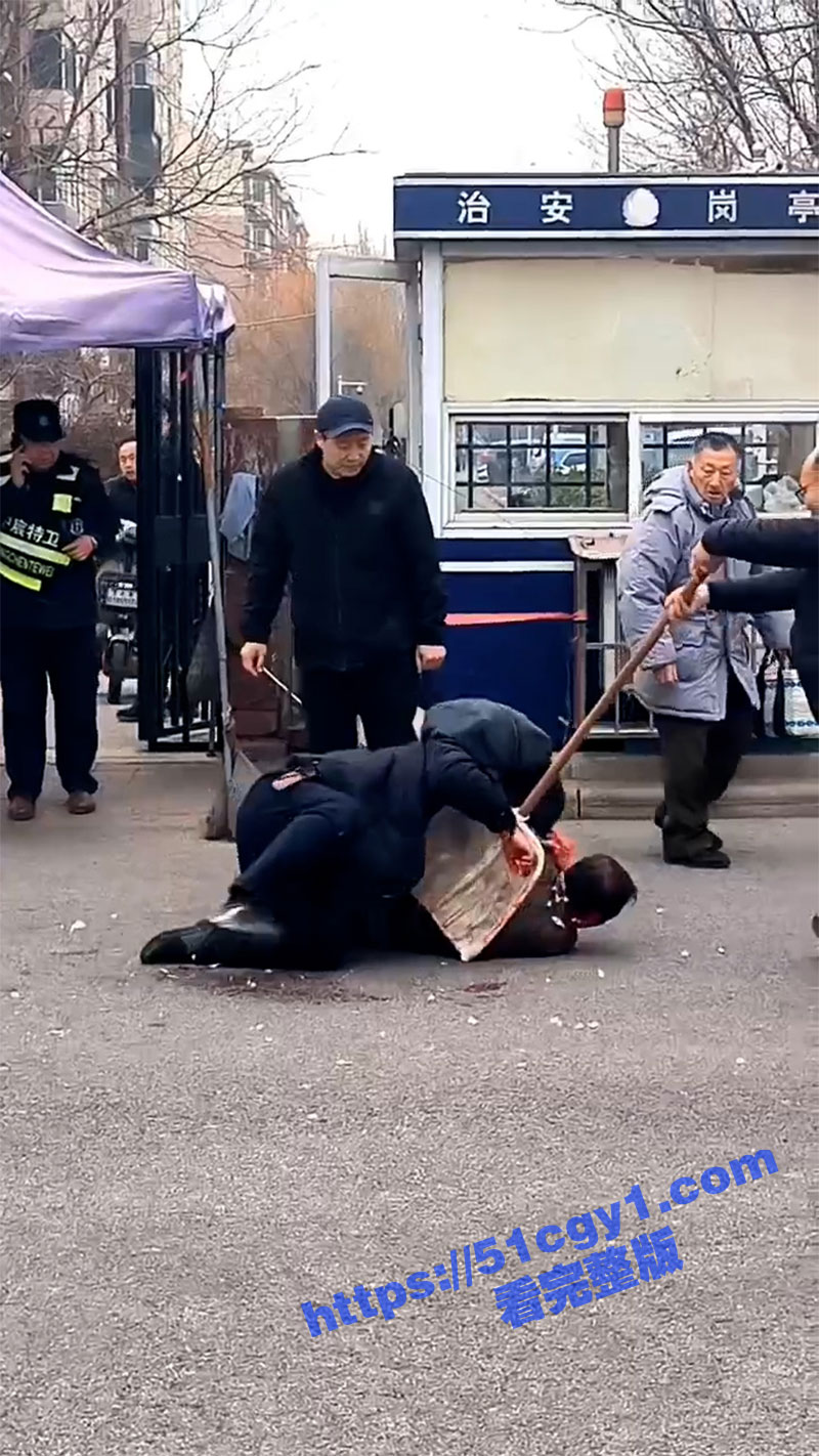 震惊！河北工业大学血相关图片
