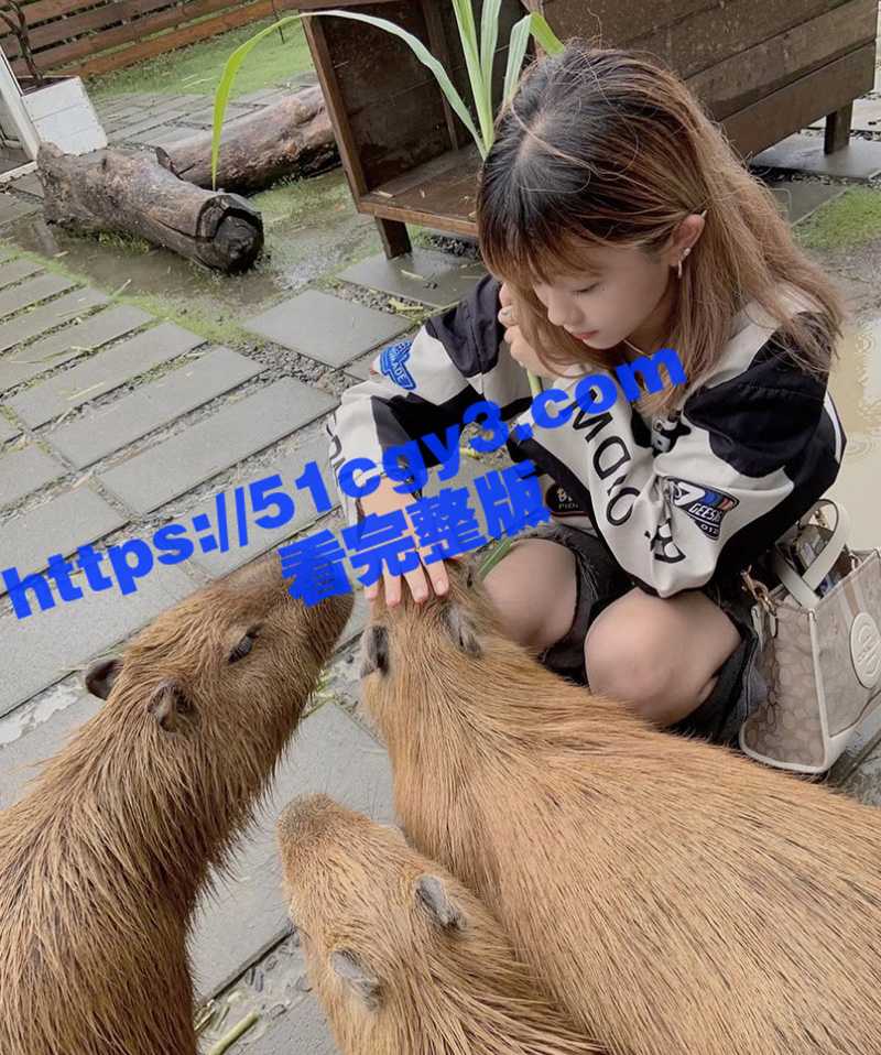 03年极品美少女 被相关图片
