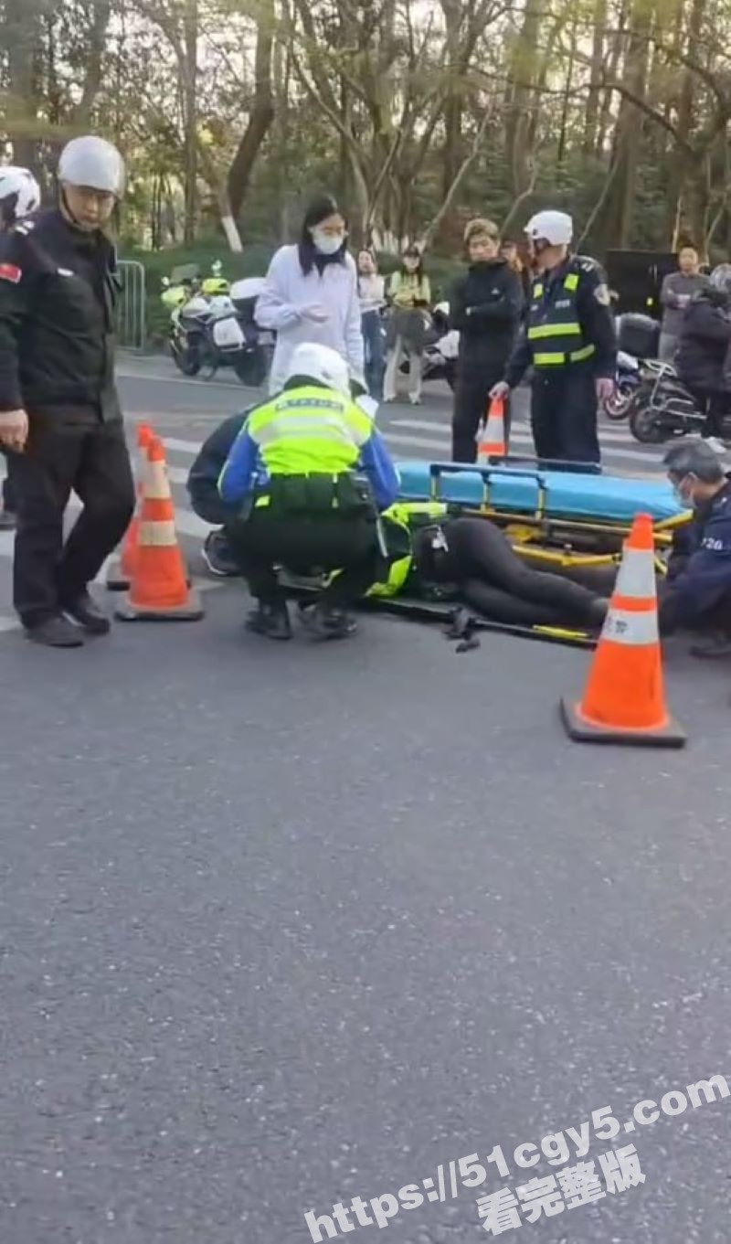 杭州西湖网红兔子警官相关图片