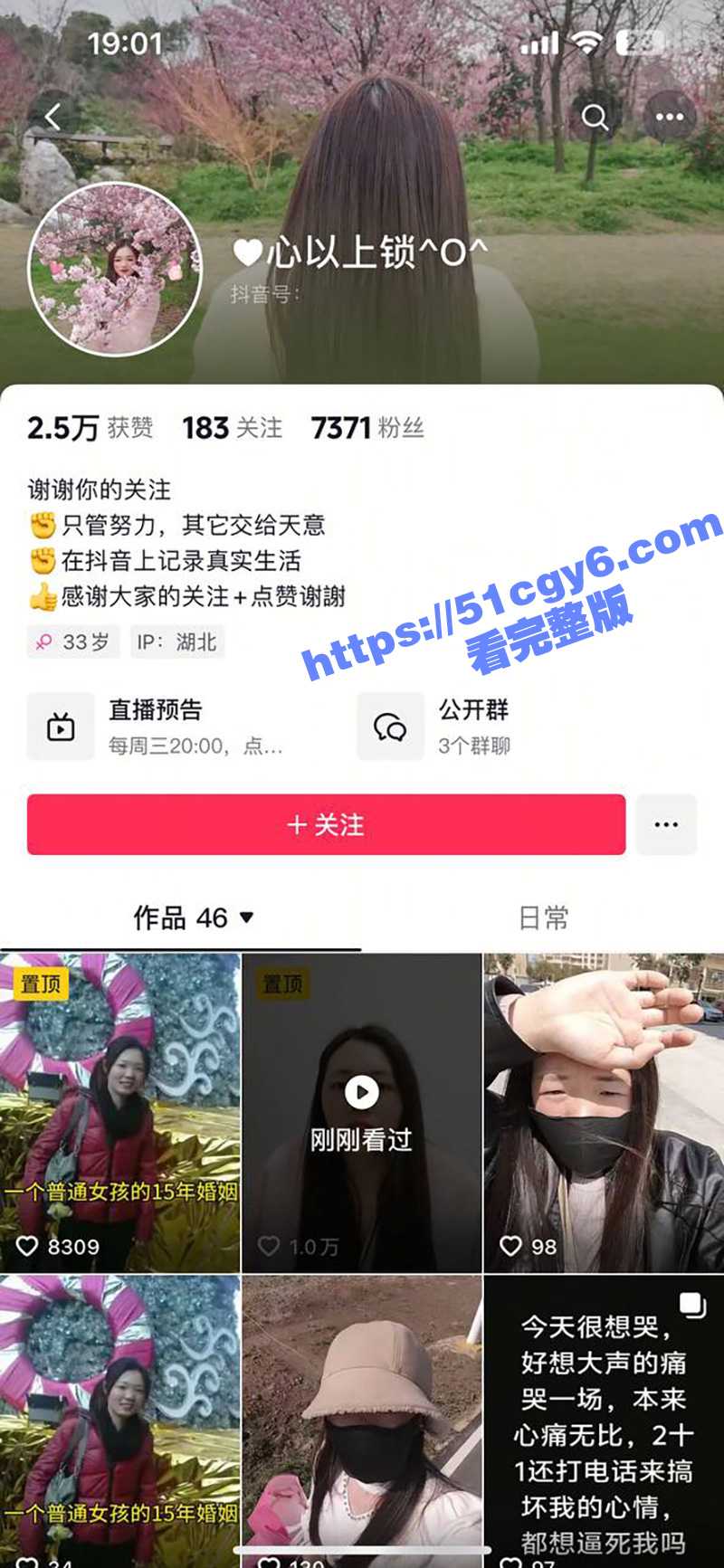 湖北潜江卤菜三姐瓜 相关图片