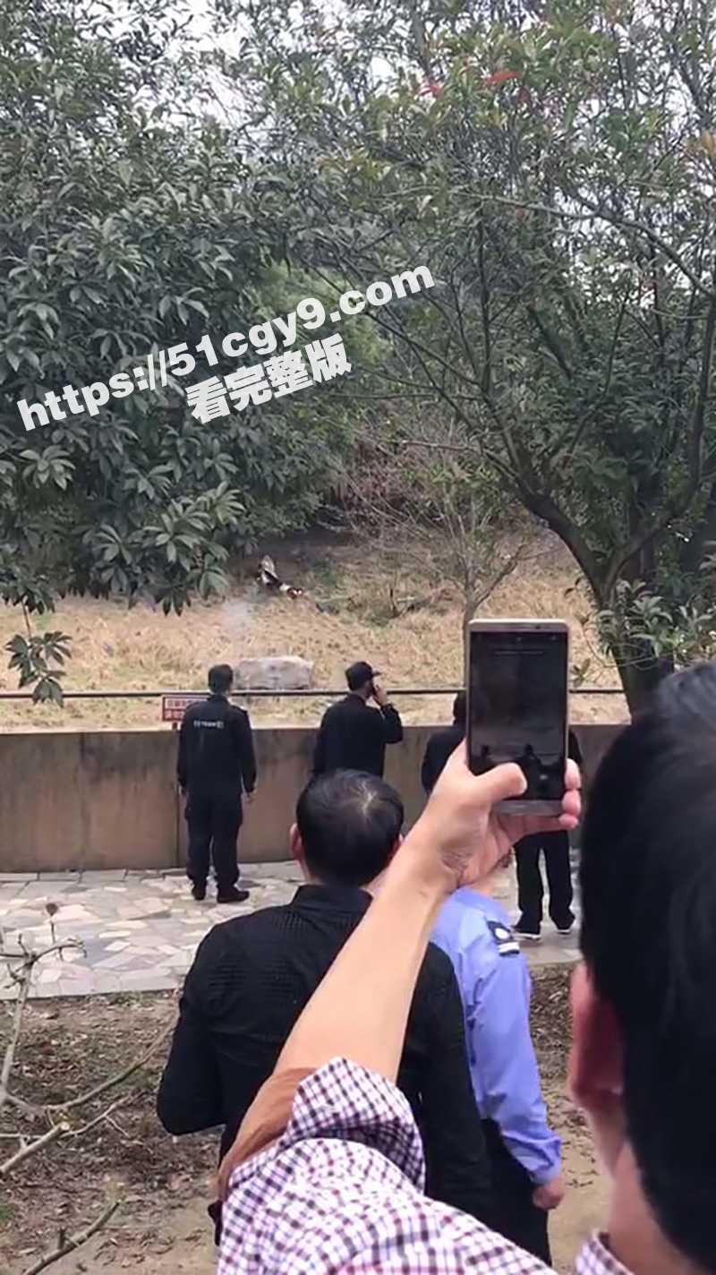 浙江宁波雅戈尔动物园 老虎吃人事件 现场完整高清版视频来袭！