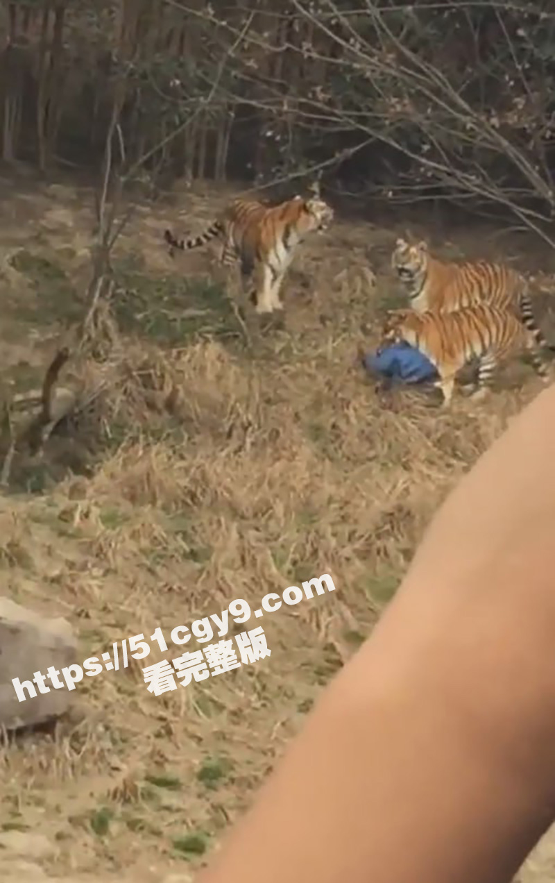 浙江宁波雅戈尔动物园相关图片