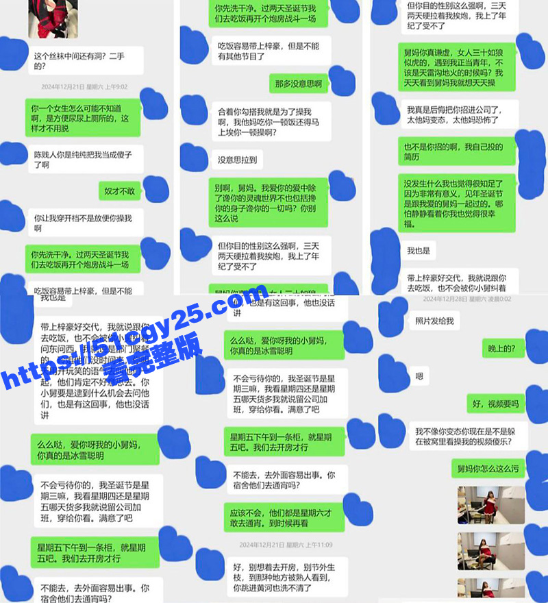乱伦大神 和舅妈的爱情故事 办公室抽插作为圣诞礼物送给小舅妈！