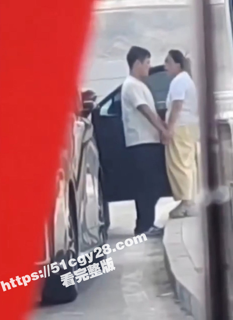 上海浦东机场路边 年轻小伙跟老阿姨缠绵时刻被偷拍 我觉得这个埃尔法我也能坐！